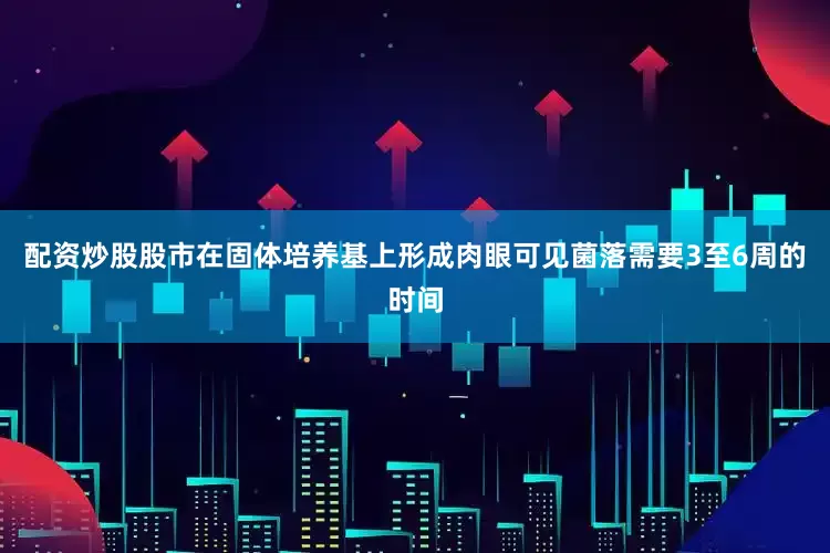 配资炒股股市在固体培养基上形成肉眼可见菌落需要3至6周的时间