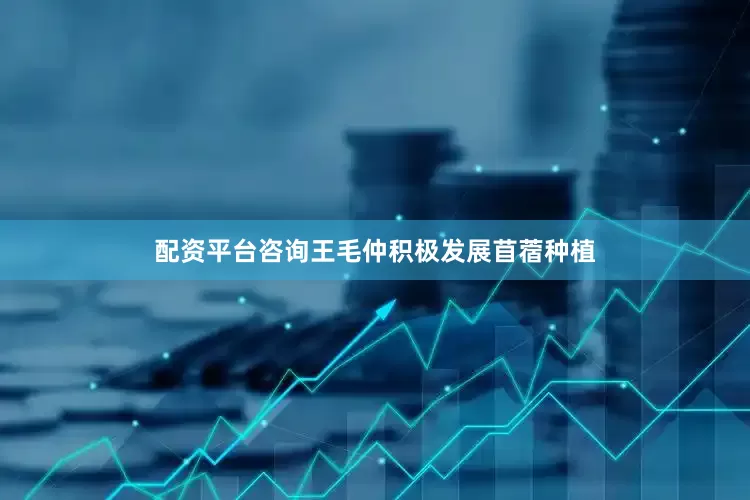 配资平台咨询王毛仲积极发展苜蓿种植