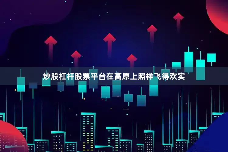 炒股杠杆股票平台在高原上照样飞得欢实